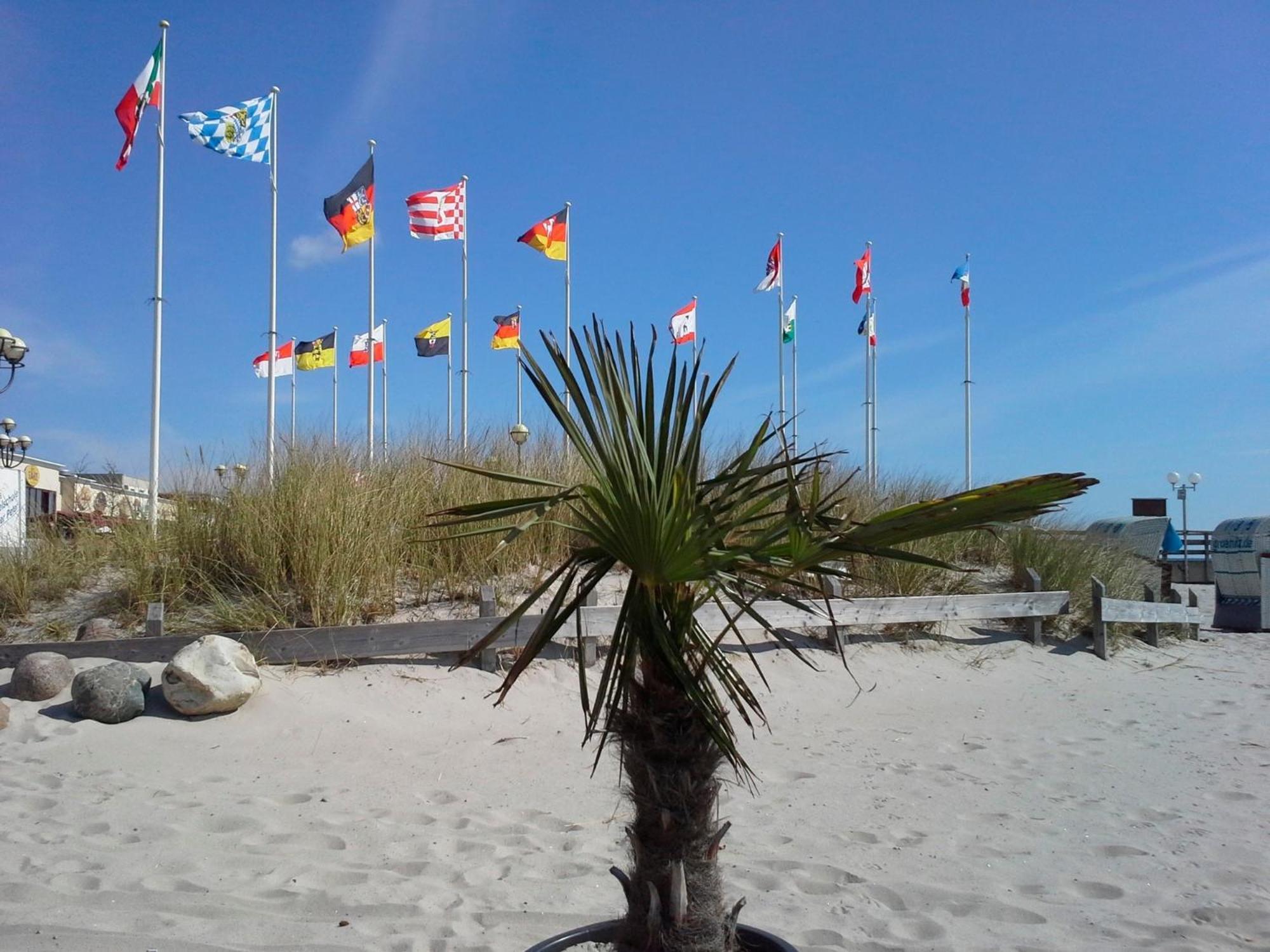 Haus Baltic - Whg 23 - Neu Inkl Saisonstrandkorb! 그로미츠 외부 사진